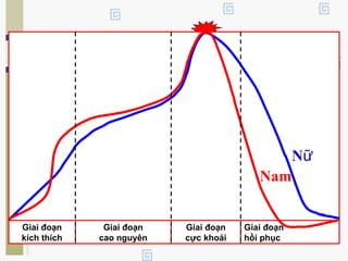 Giai đoạn
kích thích
Giai đoạn
cao nguyên
Giai đoạn
cực khoái
Giai đoạn
hồi phục
Nữ
Nam
 