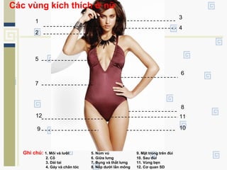 1
2
3
4
6
5
7
8
10
12
9
11
Ghi chú: 1. Môi và lưỡi 5. Núm vú 9. Mặt trong trên đùi
2. Cổ 6. Giữa lưng 10. Sau đùi
3. Dái tai 7. Bụng và thắt lưng 11. Vùng bẹn
4. Gáy và chân tóc 8. Nếp dưới lằn mông 12. Cơ quan SD
Các vùng kích thích ở nữ
 