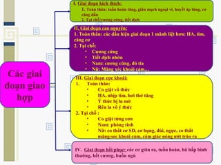 Các giai
đoạn giao
hợp
I. Giai đoạn kích thích:
1. Toàn thân: tuần hoàn tăng, giãn mạch ngoại vi, huyết áp tăng, cơ
căng dần
2. Tại chỗ:cương cứng, tiết dịch
II. Giai đoạn cao nguyên:
1. Toàn thân: các dấu hiệu giai đoạn 1 mãnh liệt hơn: HA, tim,
căng cơ
2. Tại chỗ:
• Cương cứng
• Tiết dịch nhờn
• Nam: cương cứng, đỏ tía
• Nữ: Măng xéc khoái cảm…
III. Giai đoạn cực khoái:
1. Toàn thân:
• Co giật vô thức
• HA, nhịp tim, hơi thở tăng
• Ý thức bị lu mờ
• Rên la vô ý thức
2. Tại chỗ :
• Co giật từng cơn
• Nam: phóng tinh
• Nữ: co thắt cơ SD, cơ bụng, đùi, ngực, co thắt
măng-sec khoái cảm, cảm giác nóng ướt trào ra
IV. Giai đoạn hồi phục: các cơ giãn ra, tuần hoàn, hô hấp bình
thường, hết cương, buồn ngủ
 