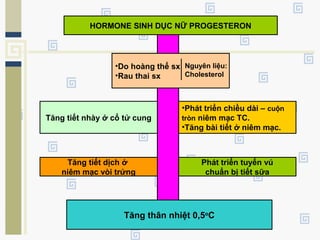 HORMONE SINH DỤC NỮ PROGESTERON
•Do hoàng thể sx
•Rau thai sx
Tăng tiết nhày ở cổ tử cung
Tăng tiết dịch ở
niêm mạc vòi trứng
•Phát triển chiều dài – cuộn
tròn niêm mạc TC.
•Tăng bài tiết ở niêm mạc.
Phát triển tuyến vú
chuẩn bị tiết sữa
Tăng thân nhiệt 0,5o
C
Nguyên liệu:
Cholesterol
 