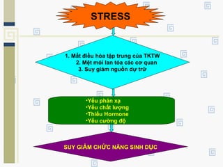STRESS
1. Mất điều hòa tập trung của TKTW
2. Mệt mỏi lan tỏa các cơ quan
3. Suy giảm nguồn dự trữ
•Yếu phản xạ
•Yếu chất lượng
•Thiếu Hormone
•Yếu cường độ
SUY GIẢM CHỨC NĂNG SINH DỤC
 