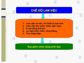 CHẾ ĐỘ LÀM VIỆC
1. Làm việc trí não, với thiết bị máy tính.
2. Làm việc liên miên, thiếu nghỉ ngơi.
3. Ít vận động thể lực.
4. Lo nghĩ triền miên, căng thẳng.
5. Thu nhập thấp.
Suy giảm chức năng sinh dục
 