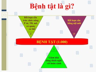 Bệnh tật là gì?
BỆNH TẬT (1.000)
Rối loạn cấu
trúc chức năng
P tử, TB, mô,
cơ quan,
cơ thể
2
Rối loạn cân
bằng nội môi
3
Giảm khả
năng thích nghi
với hoàn cảnh
1
 