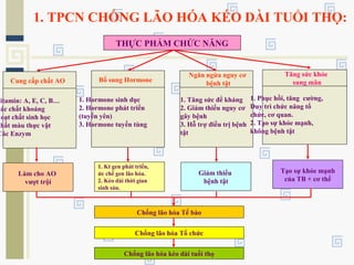 1. TPCN CHỐNG LÃO HÓA KÉO DÀI TUỔI THỌ:
THỰC PHẨM CHỨC NĂNG
Làm cho AO
vượt trội
Chống lão hóa Tế bào
Chống lão hóa Tổ chức
Chống lão hóa kéo dài tuổi thọ
Cung cấp chất AO
Vitamin: A, E, C, B…
Các chất khoáng
Hoạt chất sinh học
Chất màu thực vật
Các Enzym
Bổ sung Hormone
1. Hormone sinh dục
2. Hormone phát triển
(tuyến yên)
3. Hormone tuyến tùng
Ngăn ngừa nguy cơ
bệnh tật
1. Tăng sức đề kháng
2. Giảm thiểu nguy cơ
gây bệnh
3. Hỗ trợ điều trị bệnh
tật
Tăng sức khỏe
sung mãn
1. Phục hồi, tăng cường,
Duy trì chức năng tổ
chức, cơ quan.
2. Tạo sự khỏe mạnh,
không bệnh tật
1. Kt gen phát triển,
ức chế gen lão hóa.
2. Kéo dài thời gian
sinh sản.
Giảm thiểu
bệnh tật
Tạo sự khỏe mạnh
của TB + cơ thể
 