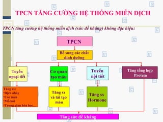 TPCN TĂNG CƯỜNG HỆ THỐNG MIỄN DỊCH
TPCN tăng cường hệ thống miễn dịch (sức đề kháng) không đặc hiệu:
TPCN
Bổ sung các chất
dinh dưỡng
Tuyến
ngoại tiết
Cơ quan
tạo máu
Tăng sx:
•Dịch nhày
•Các men
•Mồ hôi
•Trung gian hóa học…
Tuyến
nội tiết
Tăng tổng hợp
Protein
Tăng sức đề kháng
Tăng sx
và tái tạo
máu
Tăng sx
Hormone
 