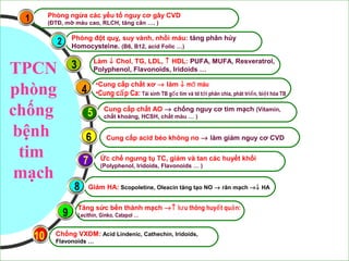 Giảm HA: Scopoletine, Oleacin tăng tạo NO → rãn mạch →↓ HA
Ức chế ngưng tụ TC, giảm và tan các huyết khối
(Polyphenol, Iridoids, Flavonoids … )
Cung cấp acid béo không no → làm giảm nguy cơ CVD
Cung cấp chất AO → chống nguy cơ tim mạch (Vitamin,
chất khoáng, HCSH, chất màu … )
•Cung cấp chất xơ → làm ↓ m máuỡ
•Cung c p Ca:ấ Tái sinh TB g c tim và td t i phân chia, phát tri n, bi t hóa TBố ớ ể ệ
Tăng sức bền thành mạch →↑ l u thông huy t qu n:ư ế ả
Lecithin, Ginko, Catapol …
Chống VXĐM: Acid Lindenic, Cathechin, Iridoids,
Flavonoids …
Làm ↓ Chol, TG, LDL, ↑ HDL: PUFA, MUFA, Resveratrol,
Polyphenol, Flavonoids, Iridoids …
Phòng ngừa các yếu tố nguy cơ gây CVD
(ĐTĐ, mỡ máu cao, RLCH, tăng cân …. )
Phòng đột quỵ, suy vành, nhồi máu: tăng phân hủy
Homocysteine. (B6, B12, acid Folic …)
1
2
3
4
5
6
7
8
9
10
TPCN
phòng
chống
bệnh
tim
mạch
 