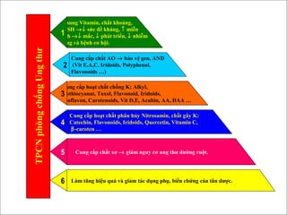 Bổ sung Vitamin, chất khoáng,
HCSH →↓ sức đề kháng, ↑ miễn
dịch →↓ mắc, ↓ phát triển, ↓ nhiễm
trùng và bệnh cơ hội.
Cung cấp chất AO → bảo vệ gen, AND
(Vit E,A,C, Iridoids, Polyphenol,
Flavonoids …)
Cung cấp hoạt chất chống K: Alkyl,
Isothiocyanat, Taxol, Flavonoid, Iridoids,
Isoflavon, Carotenoids, Vit D,E, Acubin, AA, DAA …
Cung cấp chất xơ → giảm nguy cơ ung thư đường ruột.
Làm tăng hiệu quả và giảm tác dụng phụ, biến chứng của tân dược.
Cung cấp hoạt chất phân hủy Nitrosamin, chất gây K:
Catechin, Flavonoids, Iridoids, Quercetin, Vitamin C,
β-caroten …
TPCNphòngchốngUngthư
2
1
3
4
5
6
 