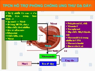 Nitrat
Nitrit
Nitrosamin
Amin (-)
Vi khuÈn
Teo d¹ dµyMuèi
Ung th­
• Polyphenol (l¸ chÌ)
• Vitamin C
• Tocophenol
• Hîp chÊt Alkyl (hµnh,
tái)
• Flavonoid (cã trong
nhiÒu lo¹i TV)
• Flavon (chanh)
• Quercetin (t¸o)
• Xö lý nhiÖt ®é cao → t¹o
PAHs (r¸n, n­íng, hun
khãi…)
• ¦íp muèi → Nitrit
• D­ l­îng HCTS, thó y
• Hãa chÊt th«i nhiÔm
• §éc tè nÊmmèc
(Aflatoxin)
• ChÊt bÐo, r­îu
• Nitrat
TPCN HỖ TRỢ PHÒNG CHỐNG UNG THƯ DẠ DÀY:
 