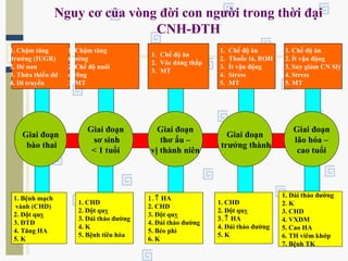 Nguy cơ của vòng đời con người trong thời đại
CNH-ĐTH
1. Chậm tăng
trưởng (IUGR)
2. Đẻ non
3. Thừa thiếu dd
4. Di truyền
1. Bệnh mạch
vành (CHD)
2. Đột quỵ
3. ĐTĐ
4. Tăng HA
5. K
1. Chậm tăng
trưởng
2. Chế độ nuôi
dưỡng
3. MT
1. CHD
2. Đột quỵ
3. Đái tháo đường
4. K
5. Bệnh tiêu hóa
1. Chế độ ăn
2. Vóc dáng thấp
3. MT
1. ↑ HA
2. CHD
3. Đột quỵ
4. Đái tháo đường
5. Béo phì
6. K
1. Chế độ ăn
2. Thuốc lá, ROH
3. Ít vận động
4. Stress
5. MT
1. CHD
2. Đột quỵ
3. ↑ HA
4. Đái tháo đường
5. K
1. Chế độ ăn
2. Ít vận động
3. Suy giảm CN Slý
4. Stress
5. MT
1. Đái tháo đường
2. K
3. CHD
4. VXĐM
5. Cao HA
6. TH viêm khớp
7. Bệnh TK
Giai đoạn
bào thai
Giai đoạn
thơ ấu –
vị thành niên
Giai đoạn
trưởng thành
Giai đoạn
lão hóa –
cao tuổi
Giai đoạn
sơ sinh
< 1 tuổi
 