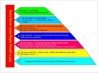 Bổ sung Ca → phát triển
xương khớp, phòng chống loãng xương.
Bổ sung vitamin A, B, chất khoáng
Cu, Zn, Mg, F … → hỗ trợ tích cực chứa Ca
ở xương.
•Bổ sung Vitamin D → phòng chống còi xương, loãng xương
•Bổ sung S: tái tạo sụn
•Bổ sung F: tái tạo cấu trúc xương, sụn
Bổ sung vitamin C → ảnh hưởng tích chứa Collagen ở khung xương.
Bổ sung vitamin B → chuyển hóa, phát triển xương.
Bỏ sung hoạt chất tác dụng trực tiếp xương khớp (Collagen, sụn cá mập, Glucosamin …)
Bổ sung các chất AO → chống oxy hóa →chống viêm, thoái hóa xương, khớp
(β-caroten, Vit C,E … )
Bổ sung Vitamin K → cần cho quá trình Carboxy-hóa của Osteocalcin,
là chất cơ bản của xương khớp
2
1
3
4
5
6
Cung cấp các chất chống viêm, ức chế men CÕ-2 (Iridoids, Flavonoids …)7
TPCNphòngchốngbênhxươngkhớp
 
