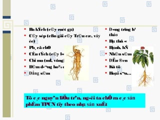 Tõ c¸c nguyªn liÖu trªn, ng­êi ta chÕ ra c¸c sản
phÈmTPCN tïy theo nhµ sản xuÊt
 Ba kÝch (c©y ruét gµ)
 C©y sép (cßn gäi c©y Tr©u cæ, vảy
èc)
 Ph¸ cã chØ
 CÈu tÝch (c©y l«ng khØ)
 Chi ma (mÌ, võng)
 D©md­¬ng ho¾c
 Đẳng s©m
 Đ«ng trïng h¹
thảo
 Hµ thñ «
 Hµnh, hÑ
 Nh©n s©m
 ĐËu ®en
 Kû tö
 Hoµi s¬n…
 