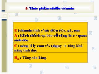 E (vitamin tình yªu): d©u t©y, gi¸, rau
C : uèng 4 ly camv¾t/ngµy → tăng khả
năng tình dục
B12 : Tăng sản l­îng
5.5. Thùc phÈmnhiÒu vitaminThùc phÈmnhiÒu vitamin
A : kÝch thÝch vµ bảo vÖtÇng bì c¬ quan
sinh dôc
 