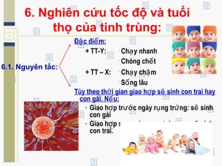 6. Nghiên cứu tốc độ và tuổi
thọ của tinh trùng:
Đ c đi m:ặ ể
+ TT-Y: .
Ch y nhanhạ
.
Chóng ch tế
+ TT – X: .
Ch y ch mạ ậ
.
S ng lâuố
Tùy theo th i gian giao h p s sinh con trai hayờ ợ ẽ
con gái. N u:ế
- Giao h p tr c ngày r ng tr ng: s sinhợ ướ ụ ứ ẽ
con gái
- Giao h p sau ngày r ng tr ngợ ụ ứ ω: s sinhẽ
con trai.
6.1. Nguyên tắc:
 
