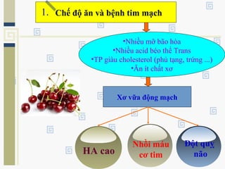 Chế độ ăn và bệnh tim mạch
•Nhiều mỡ bão hòa
•Nhiều acid béo thể Trans
•TP giàu cholesterol (phủ tạng, trứng ...)
•Ăn ít chất xơ
Xơ vữa động mạch
HA cao
Nhồi máu
cơ tim
Đột quỵ
não
1.1.
 