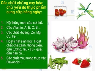 Các ch t ch ng oxy hóa:ấ ố
ch y u do th c ph mủ ế ự ẩ
cung c p hàng ngày:ấ
1. H th ng men c a c th .ệ ố ủ ơ ể
2. Các Vitamin: A, E, C, B…
3. Các ch t khoáng: Zn, Mg,ấ
Cu, Fe…
4. Ho t ch t sinh h c: Ho tạ ấ ọ ạ
ch t chè xanh, thông bi n,ấ ể
đ u t ng, rau - c - qu ,ậ ươ ủ ả
d u gan cá…ầ
5. Các ch t màu trong th c v t:ấ ự ậ
Flavonoid…
 