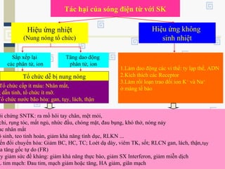 Tác hại của sóng điện từ với SK
Hiệu ứng nhiệt
(Nung nóng tổ chức)
Hiệu ứng không
sinh nhiệt
1.Làm dao động các vi thể: ty lạp thể, ADN
2.Kích thích các Receptor
3.Làm rối loạn trao đổi ion K+
và Na+
ở màng tế bào
Sắp xếp lại
các phân tử, ion
Tăng dao động
phân tử, ion
Tổ chức dễ bị nung nóng
Tổ chức cấp ít máu: Nhân mắt,
g dẫn tinh, tổ chức ít mỡ.
Tổ chức nước bão hòa: gan, tụy, lách, thận
ội chứng SNTK: ra mồ hôi tay chân, mệt mỏi,
chi, rụng tóc, mất ngủ, nhức đầu, chóng mặt, đau bụng, khó thở, nóng nảy
ục nhân mắt
ô sinh, teo tinh hoàn, giảm khả năng tình dục, RLKN ...
ến đổi chuyển hóa: Giảm BC, HC, TC; Loét dạ dày, viêm TK, sốt; RLCN gan, lách, thận,tụy
a tăng gốc tự do (FR)
uy giảm sức đề kháng: giảm khả năng thực bào, giảm SX Interferon, giảm miễn dịch
L tim mạch: Đau tim, mạch giảm hoặc tăng, HA giảm, giãn mạch
 