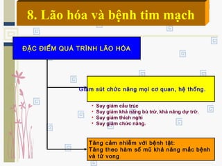 ĐẶC ĐIỂM QUÁ TRÌNH LÃO HÓA
Giảm sút chức năng mọi cơ quan, hệ thống.
Tăng cảm nhiễm với bệnh tật:
Tăng theo hàm số mũ khả năng mắc bệnh
và tử vong
• Suy giảm cấu trúc
• Suy giảm khả năng bù trừ, khả năng dự trữ.
• Suy giảm thích nghi
• Suy giảm chức năng.
8. Lão hóa và bệnh tim mạch
 
