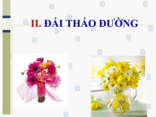 II. ĐÁI THÁO ĐƯỜNG
 