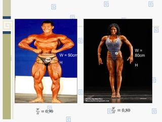 W = 90cm
H
W =
80cm
H
90,0
¦
=H
W 80,0
¦
=H
W
 