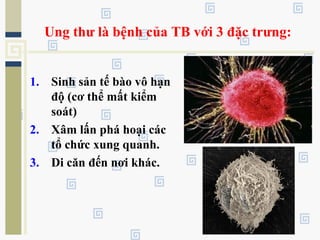 Ung thư là bệnh của TB với 3 đặc trưng:
1. Sinh sản tế bào vô hạn
độ (cơ thể mất kiểm
soát)
2. Xâm lấn phá hoại các
tổ chức xung quanh.
3. Di căn đến nơi khác.
 