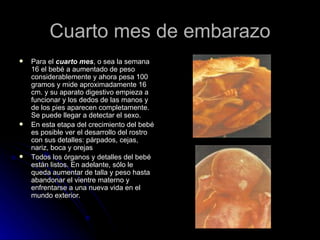 Cuarto mes de embarazo Para el  cuarto mes , o sea la semana 16 el bebé a aumentado de peso considerablemente y ahora pesa 100 gramos y mide aproximadamente 16 cm. y su aparato digestivo empieza a funcionar y los dedos de las manos y de los pies aparecen completamente. Se puede llegar a detectar el sexo.  En esta etapa del crecimiento del bebé es posible ver el desarrollo del rostro con sus detalles: párpados, cejas, nariz, boca y orejas  Todos los órganos y detalles del bebé están listos. En adelante, sólo le queda aumentar de talla y peso hasta abandonar el vientre materno y enfrentarse a una nueva vida en el mundo exterior.  