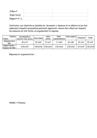 Crâne n°
Angle facial
Rapport H / L


Confronter ces résultats au données du document ci-dessous et en déduire la (ou les)
espèce(s) à laquelle (auxquelles) peu(ven)t appartenir chacun des crânes sur lesquels
les mesures ont été faites, en argumentant la réponse.




Réponses et argumentation :




NOMS / Prénoms :
 