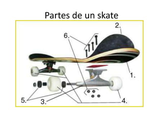 Partes de un skate
 
