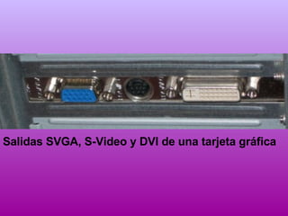 Salidas SVGA, S-Video y DVI de una tarjeta gráfica 