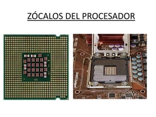 ZÓCALOS DEL PROCESADOR
 