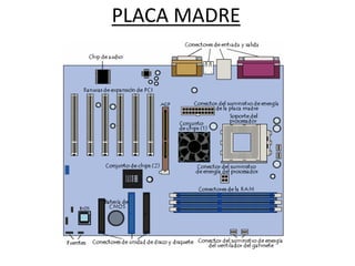 PLACA MADRE
 