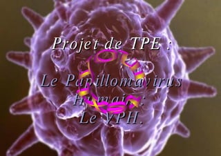 Projet de TPE : Le Papillomavirus Humain :  Le VPH. your text 