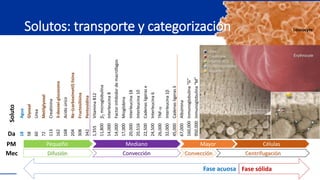 SOHO
Solutos: transporte y categorización
Agua
Glyoxal
Urea
Metilglyoxal
Creatinina
3-desoxi-glucosona
Acido
úrico
Nε–(car...