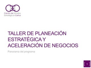 TALLER DE PLANEACIÓN
ESTRATÉGICA Y
ACELERACIÓN DE NEGOCIOS
Panorama del programa
1
 