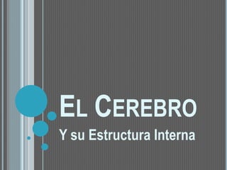 EL CEREBRO
Y su Estructura Interna
 