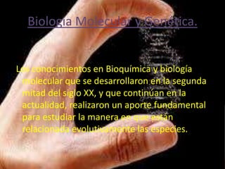 Biología Molecular y Genética.


Los conocimientos en Bioquímica y biología
 molecular que se desarrollaron en la segunda
 mitad del siglo XX, y que continúan en la
 actualidad, realizaron un aporte fundamental
 para estudiar la manera en que están
 relacionada evolutivamente las especies.
 