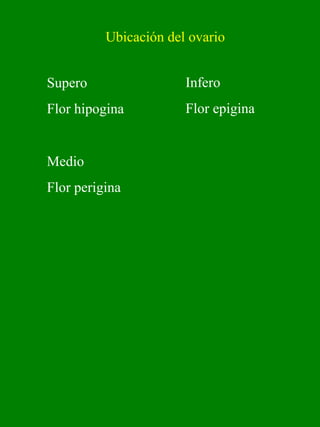 Ubicación del ovario 
Supero 
Flor hipogina 
Infero 
Flor epigina 
Medio 
Flor perigina 
 