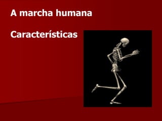A marcha humana
Características
 