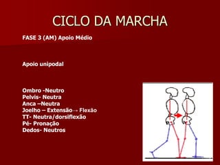 CICLO DA MARCHA
FASE 3 (AM) Apoio Médio
Apoio unipodal
Ombro -Neutro
Pelvis- Neutra
Anca –Neutra
Joelho – Extensão→ Flexão
TT- Neutra/dorsiflexão
Pé- Pronação
Dedos- Neutros
 