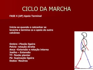 CICLO DA MARCHA
FASE 4 (AP) Apoio Terminal
Inicia-se quando o calcanhar se
levanta e termina co o apoio do outro
calcâneo
Ombro –Flexão ligeira
Pelvis- rotação direita
Anca –Extensão e rotação interna
Joelho – Extensão
TT- flexão plantar
Pé- Supinação ligeira
Dedos- Neutros
 