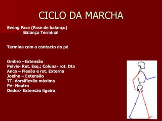 CICLO DA MARCHA
Swing Fase (Fase de balanço)
Balanço Terminal
Termina com o contacto do pé
Ombro –Extensão
Pelvis- Rot. Esq.; Coluna- rot. Dta
Anca – Flexão e rot. Externa
Joelho – Extensão
TT- dorsiflexão máxima
Pé- Neutro
Dedos- Extensão ligeira
 