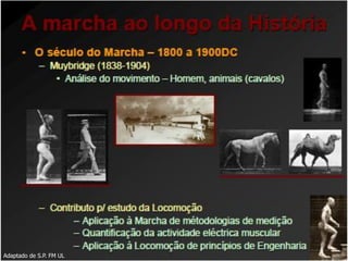 Adaptado de S.P. FM UL
 