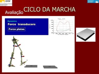 CICLO DA MARCHAAvaliação
 