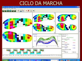 CICLO DA MARCHA
 