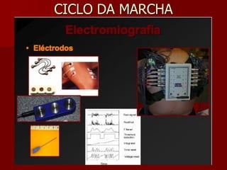 CICLO DA MARCHA
 