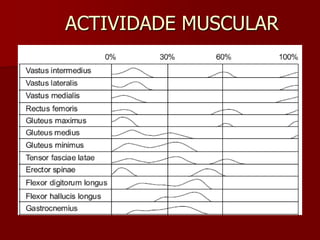 ACTIVIDADE MUSCULAR
 