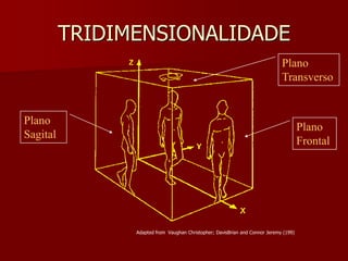 TRIDIMENSIONALIDADE
Plano
Sagital
Plano
Frontal
Plano
Transverso
Adapted from Vaughan Christopher; DavisBrian and Connor Jeremy (199)
 