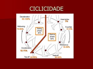 CICLICIDADE
 