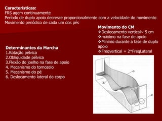 Características:
FRS agem continuamente
Período de duplo apoio decresce proporcionalmente com a velocidade do movimento
Movimento periódico de cada um dos pés
Determinantes da Marcha
1.Rotação pélvica
2.Obliquidade pélvica
3.Flexão do joelho na fase de apoio
4. Mecanismo do tornozelo
5. Mecanismo do pé
6. Deslocamento lateral do corpo
Movimento do CM
Deslocamento vertical~ 5 cm
máximo na fase de apoio
Minimo durante a fase de duplo
apoio
Freqvertical = 2*FreqLateral
 