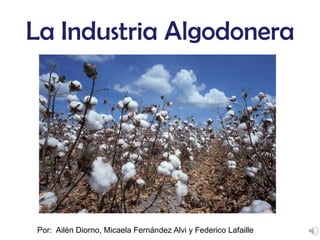 La Industria Algodonera




Por: Ailén Diorno, Micaela Fernández Alvi y Federico Lafaille
 