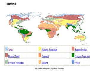 BIOMAS http://www.madrimasd.org/blogs/universo 